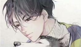 适合男生看的漫画